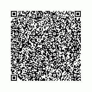 vCard 79963260089