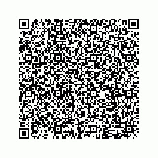 vCard 79963260091