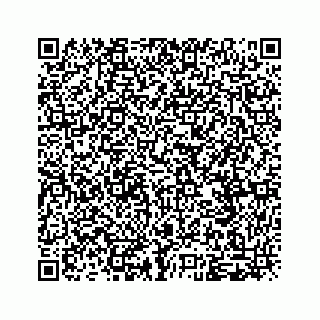 vCard 79963260093