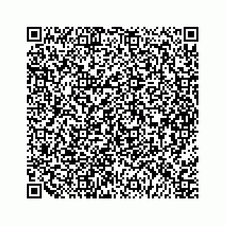 vCard 79963260098