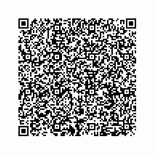 vCard 79963260099