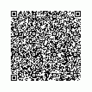 vCard 79963260117