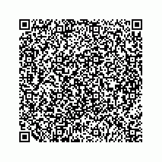vCard 79963260118