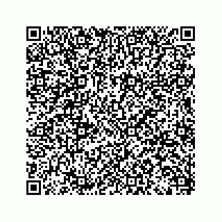 vCard 79963260121
