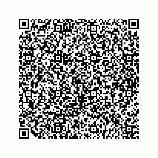 vCard 79963260130