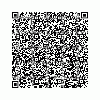 vCard 79963260131