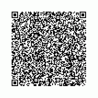 vCard 79963260140
