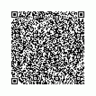 vCard 79963260141