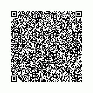 vCard 79963260145