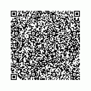 vCard 79963260152