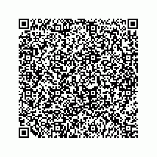 vCard 79963260153