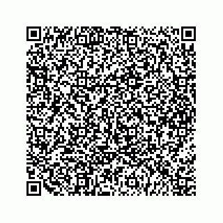 vCard 79963260156