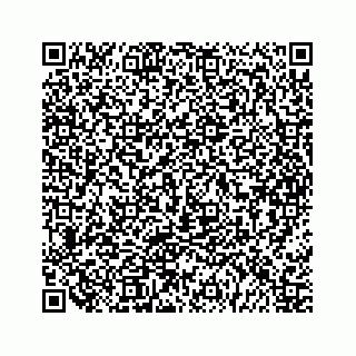 vCard 79963260159