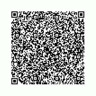 vCard 79963260163