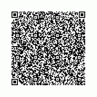 vCard 79963260166