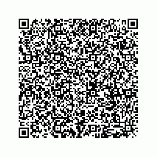 vCard 79963260168
