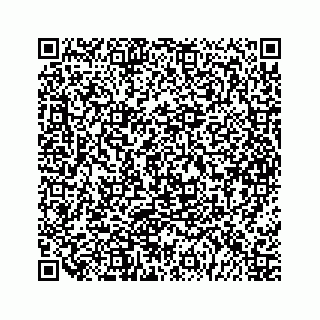 vCard 79963260171