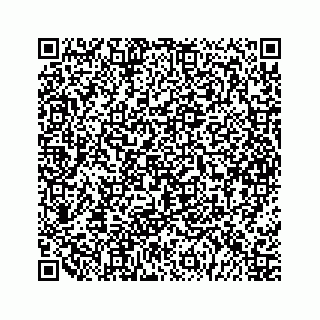 vCard 79963260174