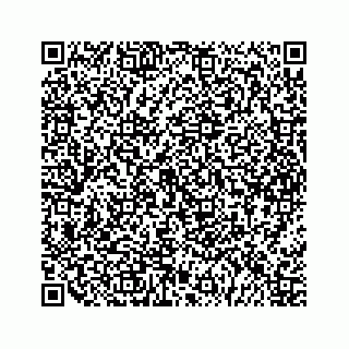 vCard 79963260177