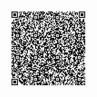 vCard 79963260179