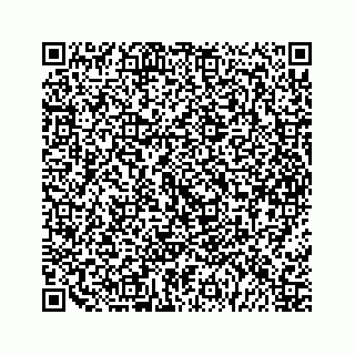 vCard 79963260186
