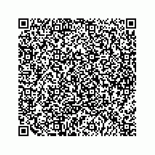 vCard 79963260187