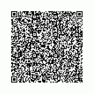 vCard 79963260190