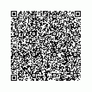 vCard 79963260191