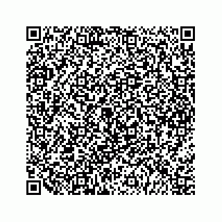 vCard 79963260197