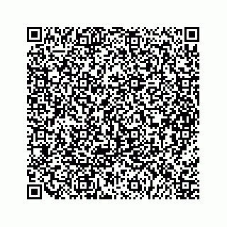 vCard 79963260198