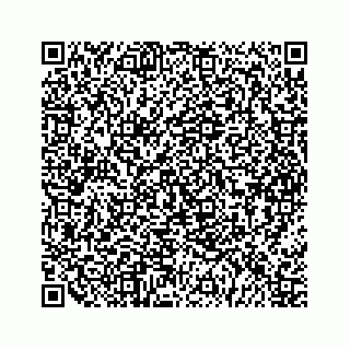 vCard 79963260199