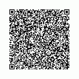 vCard 79963260203