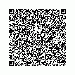 vCard 79963260209
