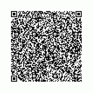 vCard 79963260213