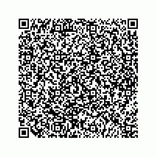 vCard 79963260217