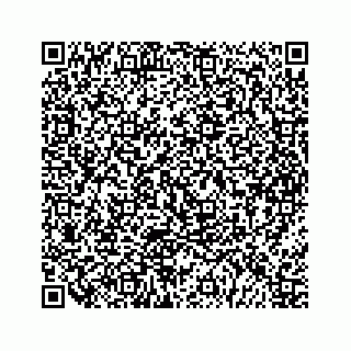 vCard 79963260221
