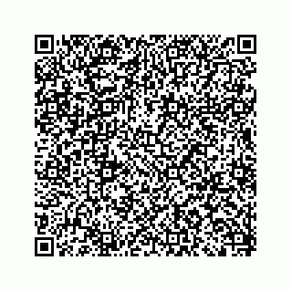 vCard 79963260222