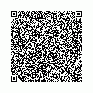 vCard 79963260225