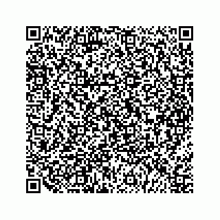 vCard 79963260228