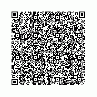 vCard 79963260229