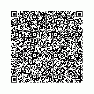 vCard 79963260231
