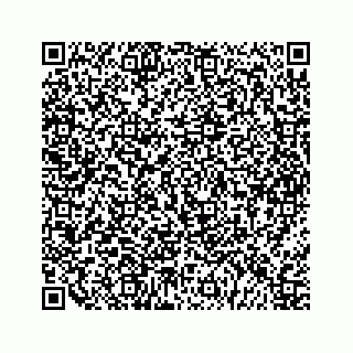 vCard 79963260233