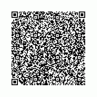 vCard 79963260235