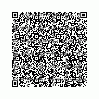 vCard 79963260239