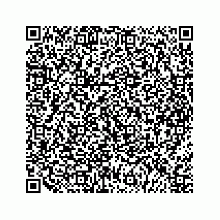 vCard 79963260242