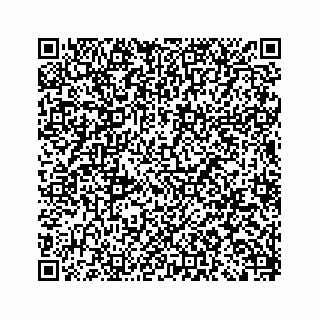vCard 79963260247