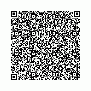 vCard 79963260253