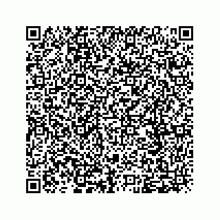 vCard 79963260254