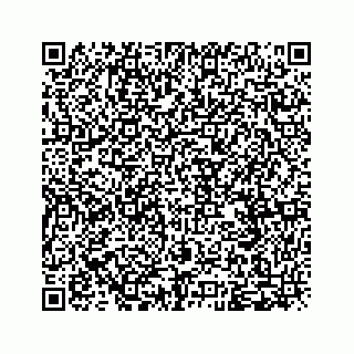 vCard 79963260255