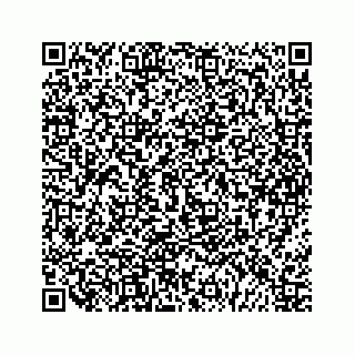 vCard 79963260263